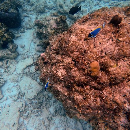 Moodhumaa Inn Guraidhoo  Kültér fotó