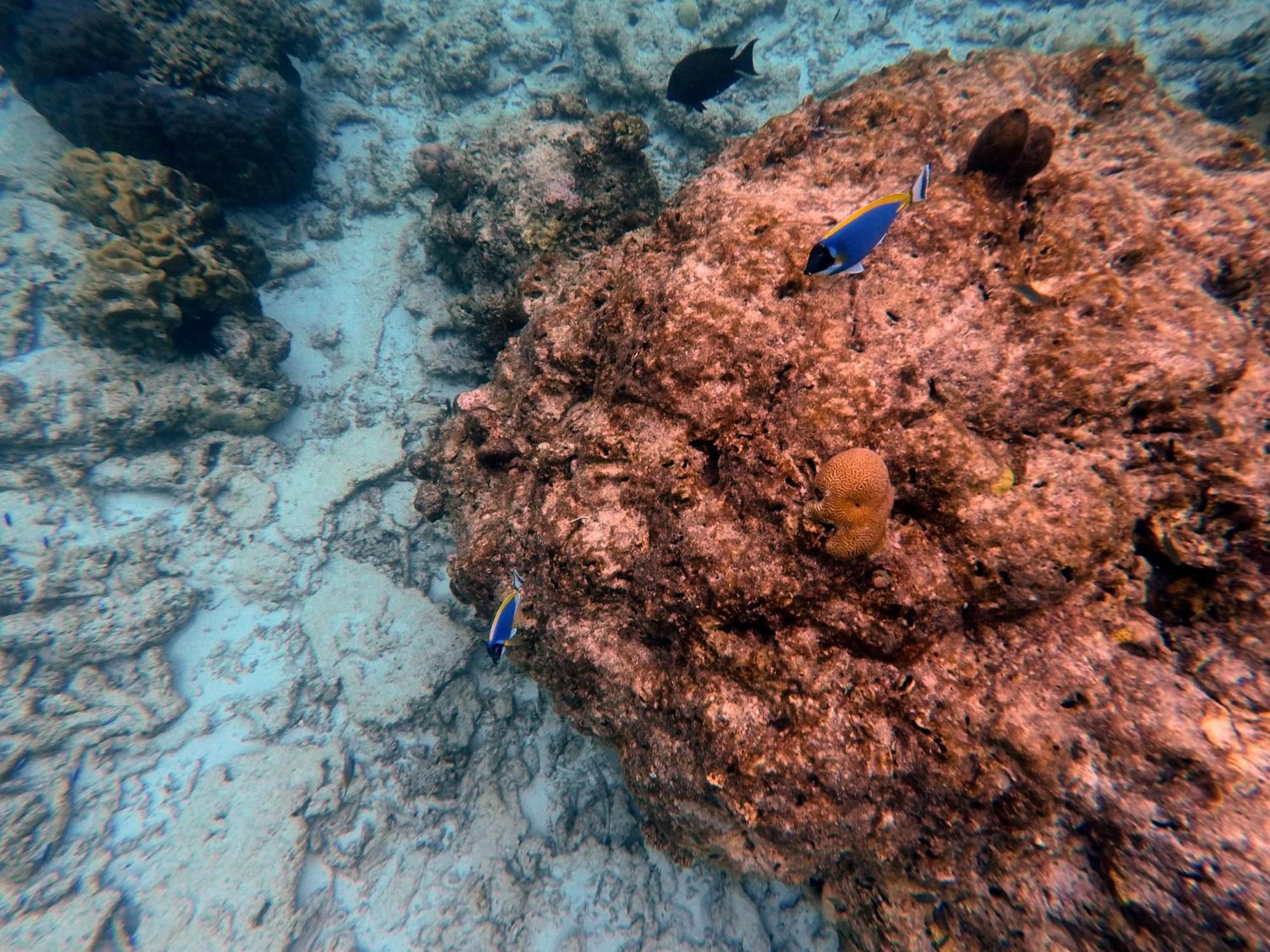 Moodhumaa Inn Guraidhoo  Kültér fotó