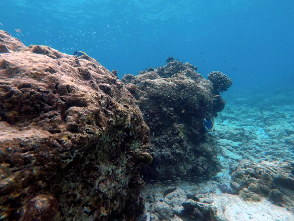 Moodhumaa Inn Guraidhoo  Kültér fotó