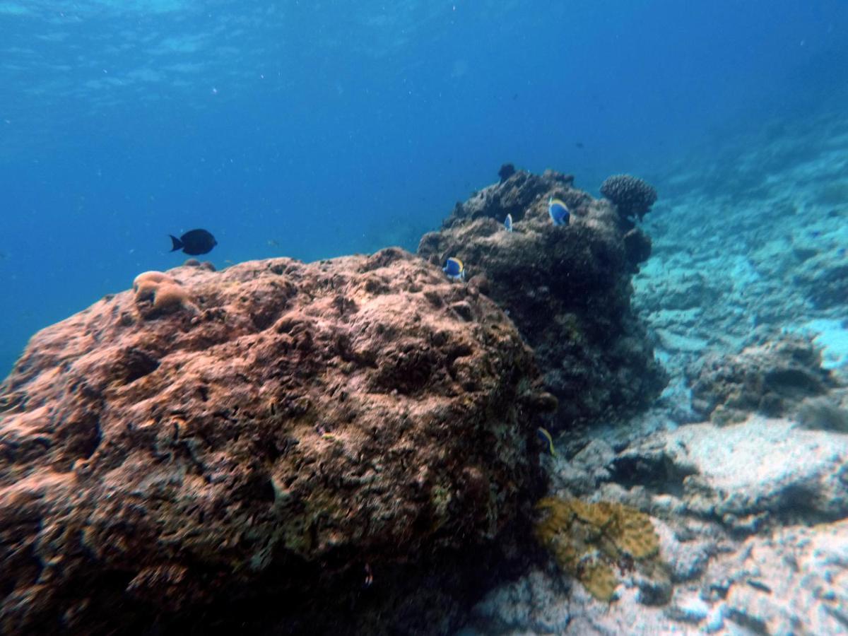 Moodhumaa Inn Guraidhoo  Kültér fotó