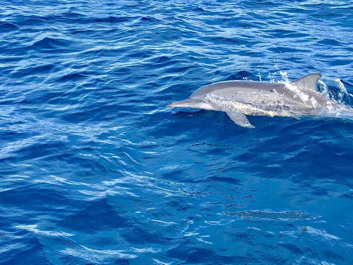 Moodhumaa Inn Guraidhoo  Kültér fotó