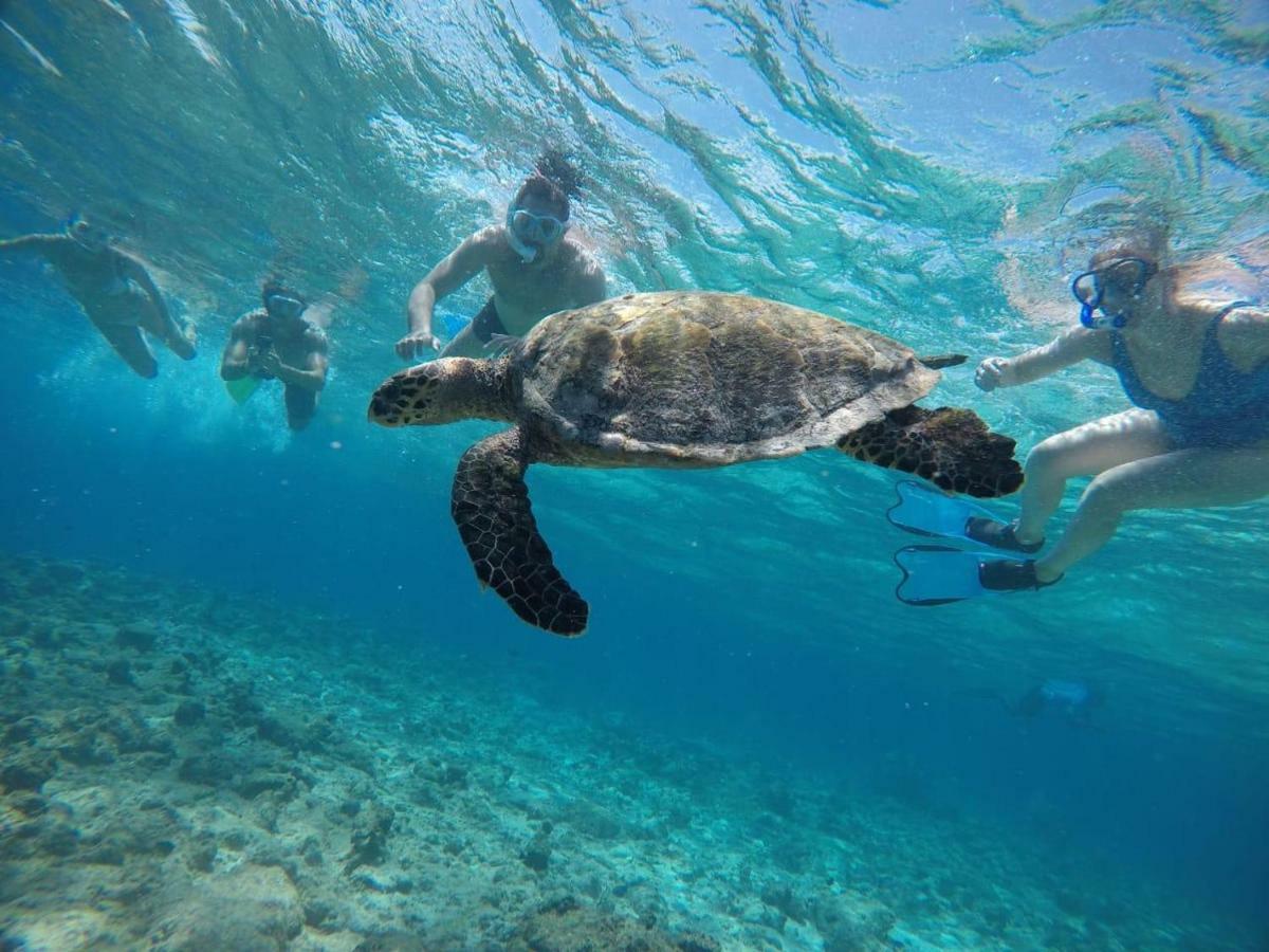 Moodhumaa Inn Guraidhoo  Kültér fotó