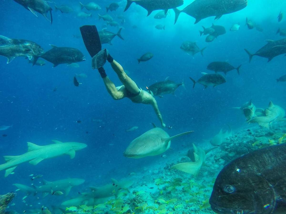 Moodhumaa Inn Guraidhoo  Kültér fotó